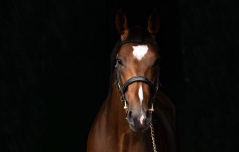 coolmore-2021