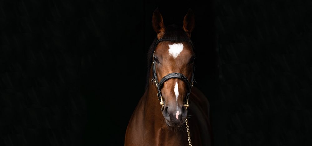 coolmore-2021